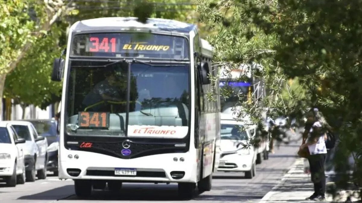 Colectivo de la empresa El Triunfo línea 341 circulando por una avenida de San Juan