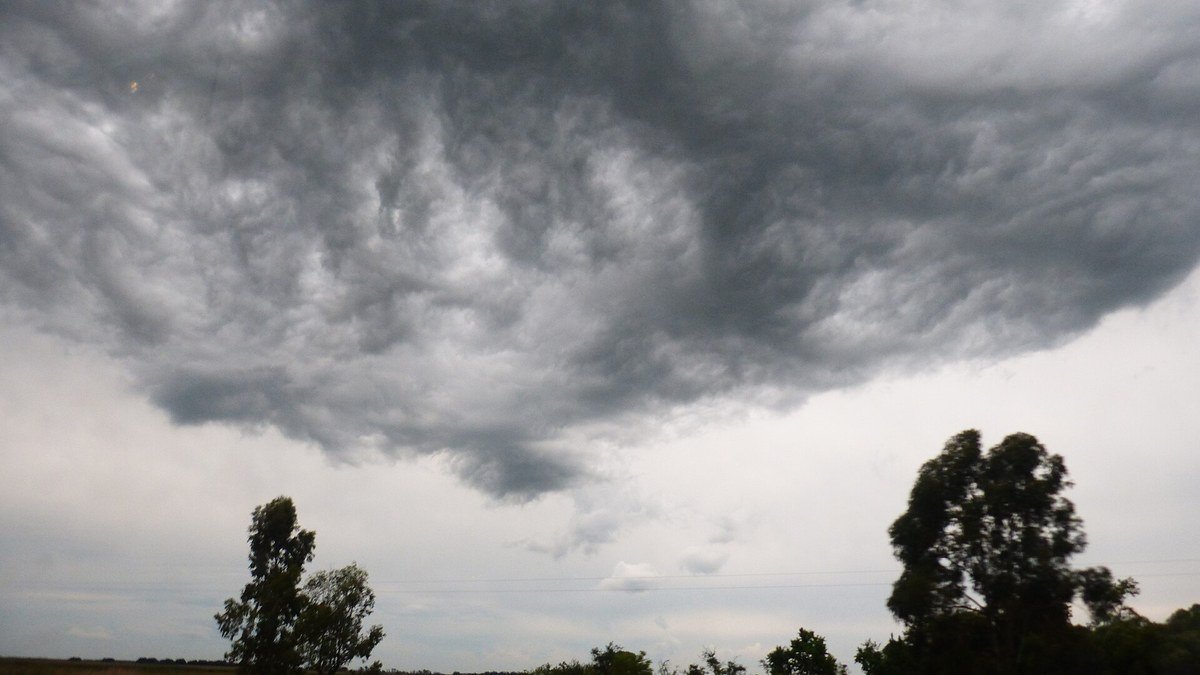 Cielo cubierto por nubes oscuras de tormenta sobre una arboleda