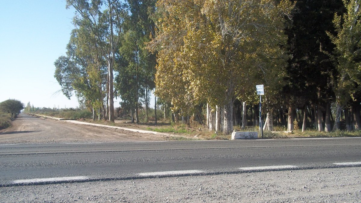 Ruta Nacional 40 a la altura de calle Carpino, en Sarmiento