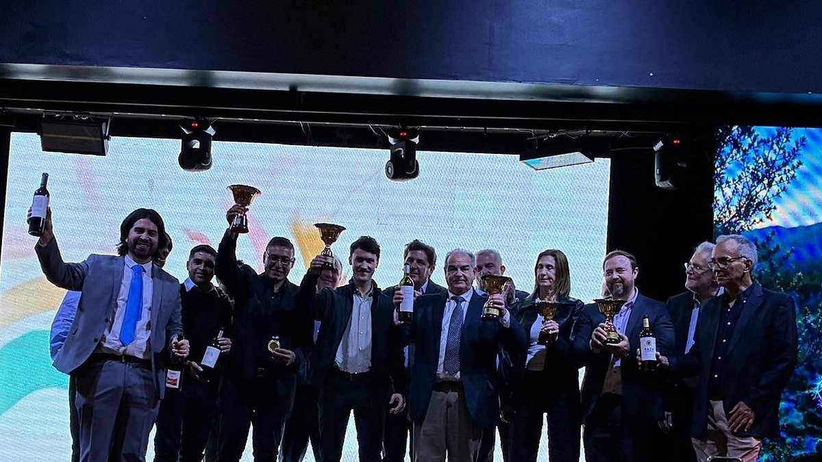 Ganadores de la Cata Nacional de Vinos 2026 posan con trofeos y botellas en el escenario