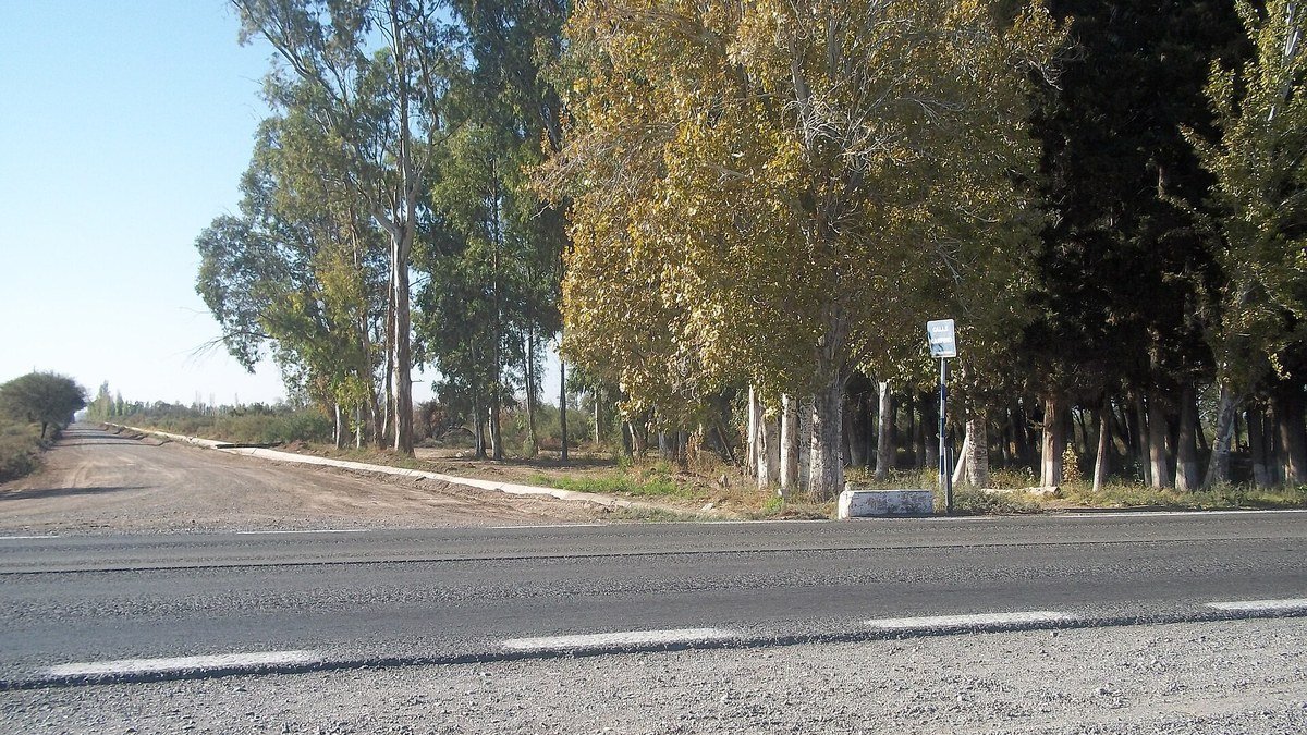 Camino rural arbolado que cruza una ruta asfaltada en Sarmiento, sin vehículos ni personas