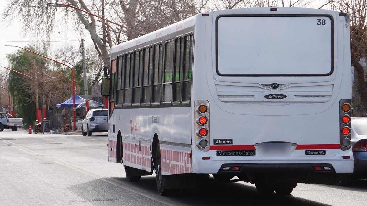 Colectivo blanco de pasajeros circulando por una calle de San Juan, visto desde atrás
