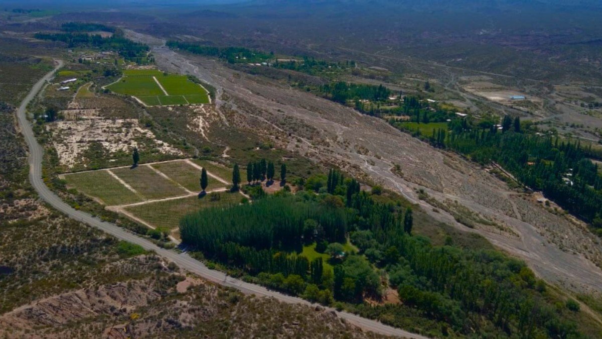 Vista aérea del valle de Sarmiento, con cultivos, álamos y la precordillera