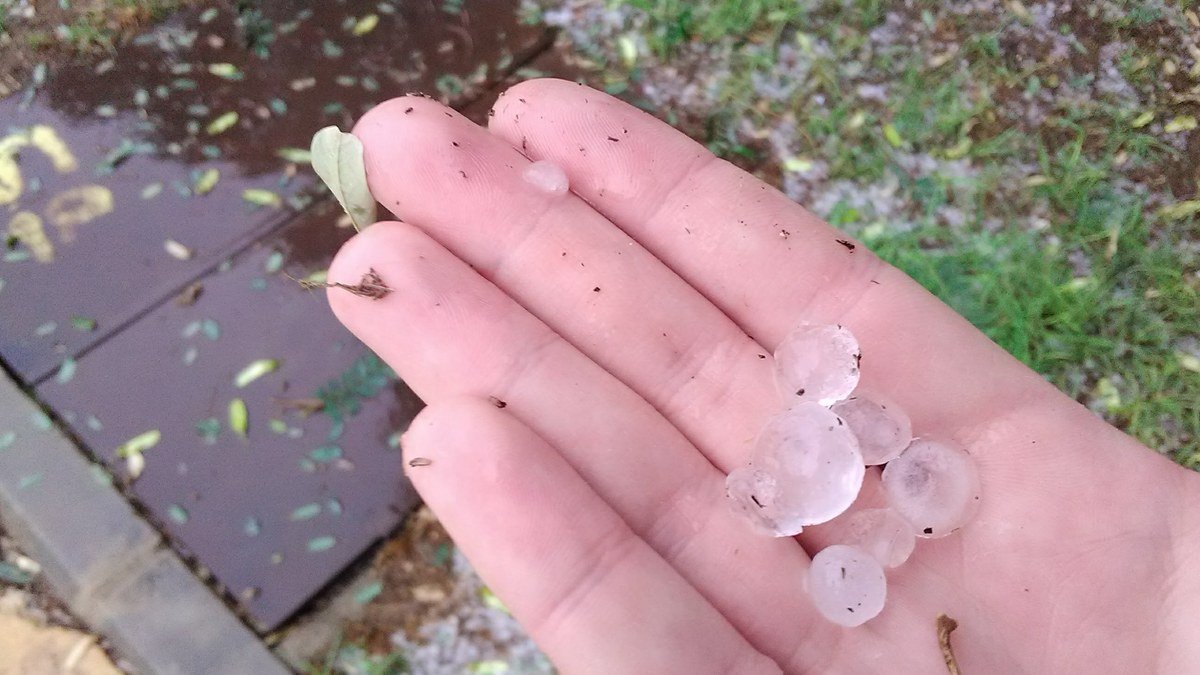 Mano sosteniendo piedras de granizo sobre el césped