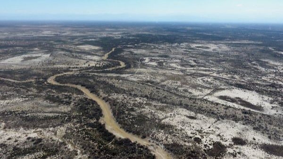 Vista aérea de la zona de las Lagunas de Guanacache, con un cauce seco que atraviesa el monte