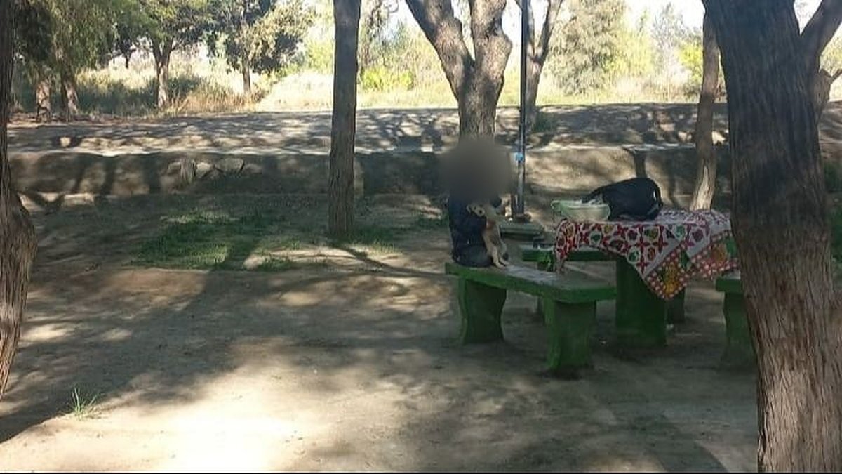Mesa y bancos de un camping arbolado con pertenencias de una familia sobre la mesa