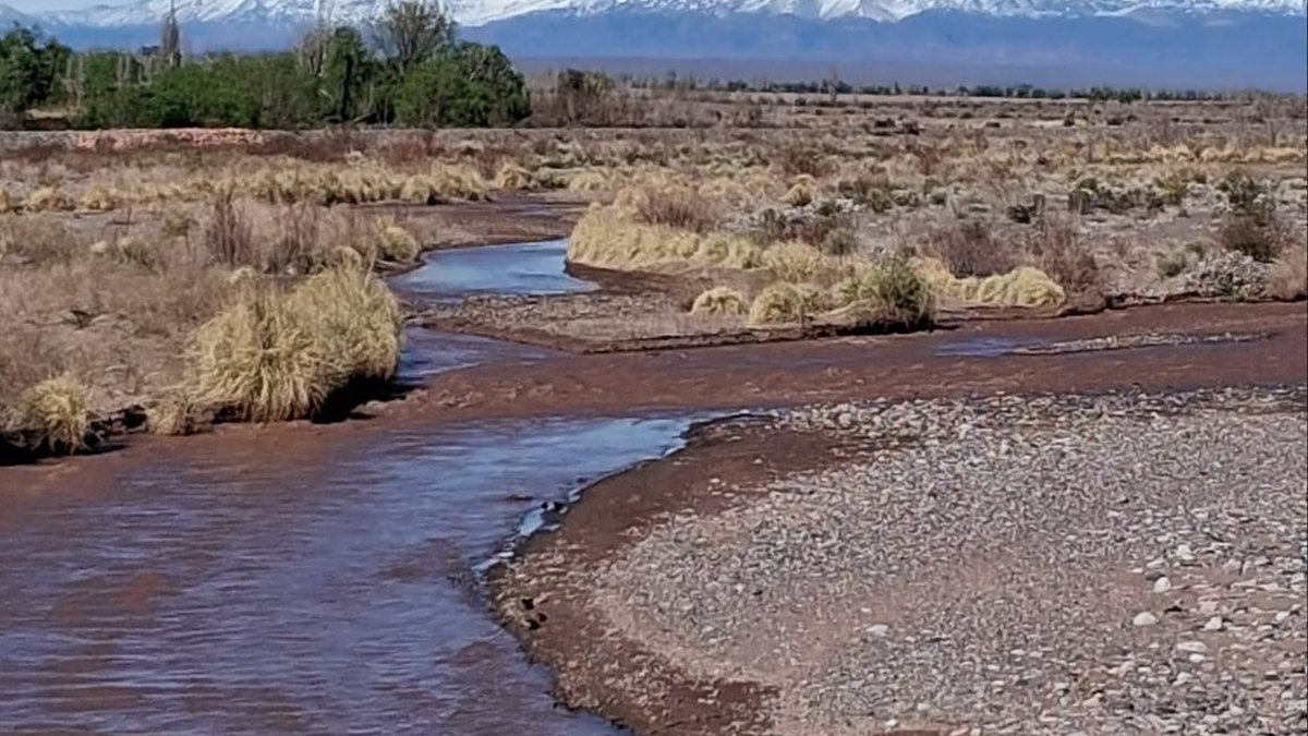Río de poco caudal con aguas marrones entre piedras y pastizales, con la cordillera nevada al fondo