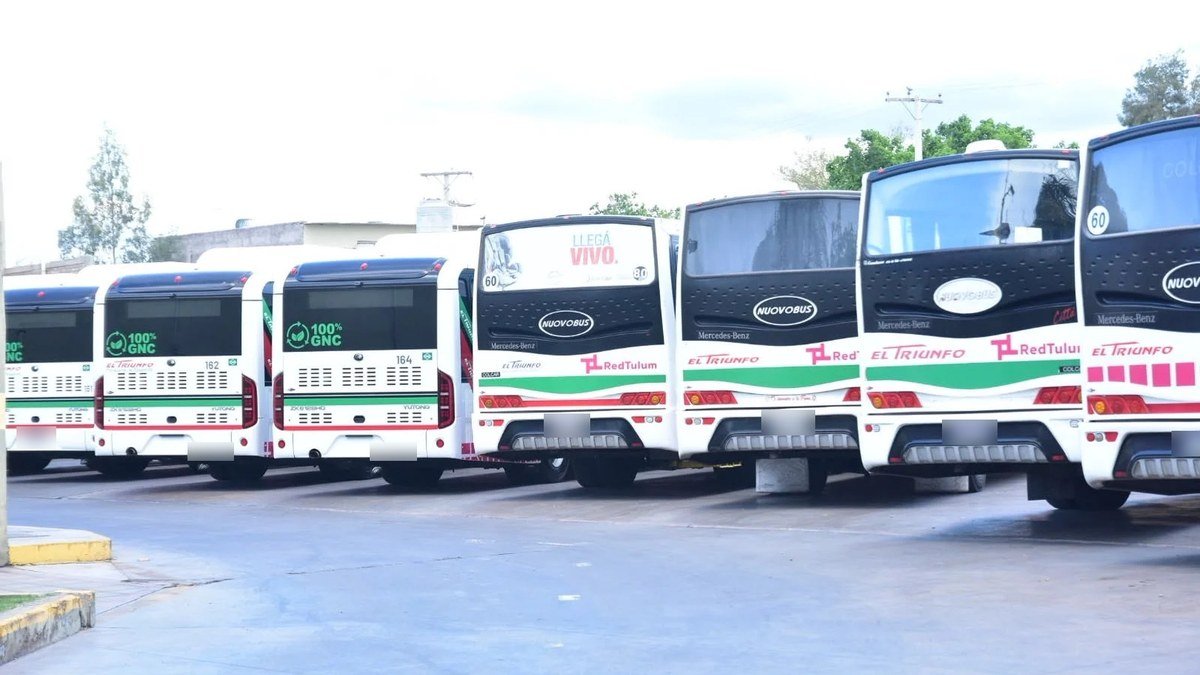 Colectivos blancos de la empresa El Triunfo estacionados en fila en una playa de San Juan