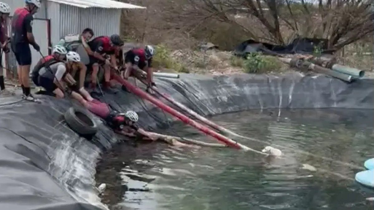 Un grupo de ciclistas con cascos se estira desde el borde de un reservorio para sacar a un perro del agua