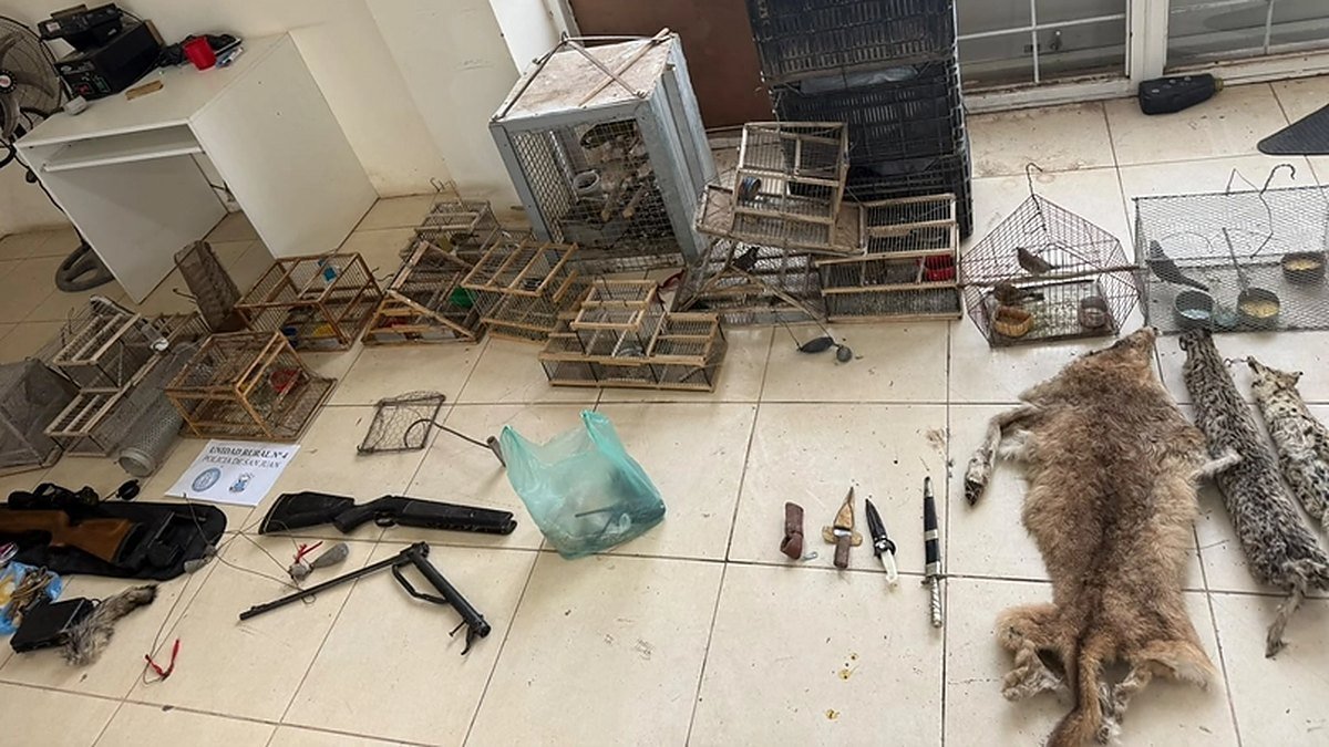 Jaulas, armas, cuchillos y cueros de animales secuestrados, ordenados sobre un piso de cerámica en la Unidad Rural N.º 4