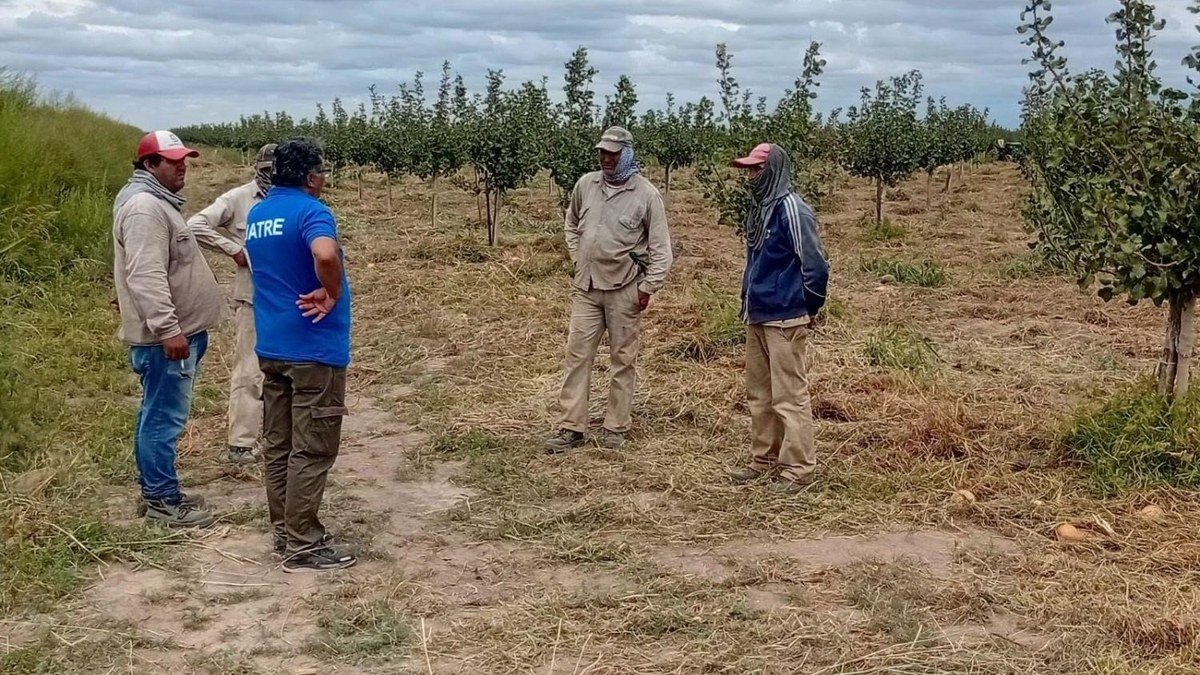 Un representante de Uatre conversa con trabajadores rurales en una finca con árboles jóvenes