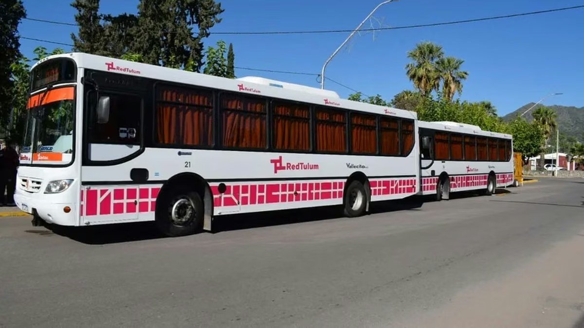 Dos colectivos blancos de la Red Tulum estacionados en una calle arbolada de San Juan