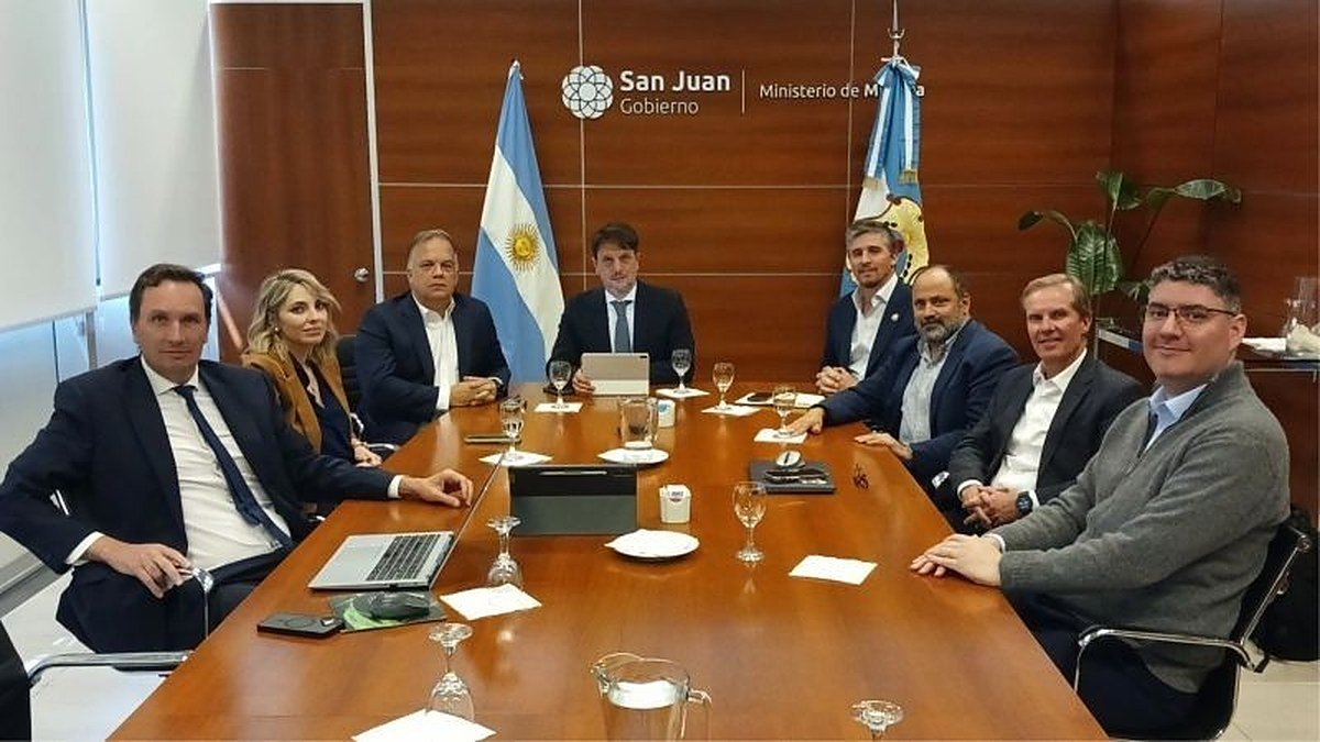 Representantes de Vicuña y funcionarios provinciales sentados alrededor de una mesa de reuniones en el Ministerio de Minería de San Juan