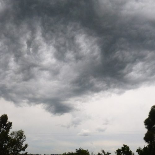 Cielo cubierto por nubes oscuras de tormenta sobre una arboleda