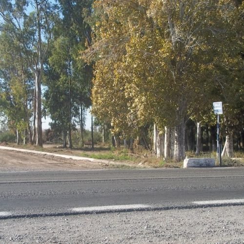 Ruta Nacional 40 a la altura de calle Carpino, en Sarmiento