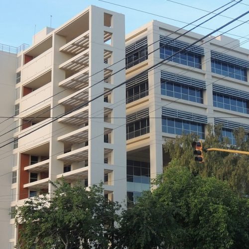 Edificios del Centro Cívico de San Juan vistos desde la calle, con árboles y cables en primer plano