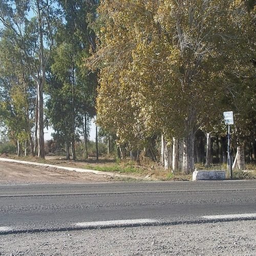 Camino rural de Sarmiento junto a la Ruta 40