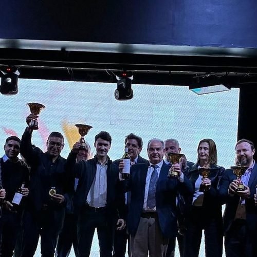 Ganadores de la Cata Nacional de Vinos 2026 posan con trofeos y botellas en el escenario