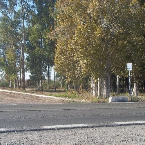 Camino rural arbolado que cruza una ruta asfaltada en Sarmiento, sin vehículos ni personas