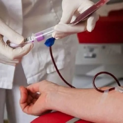 Una persona con guantes de látex manipula una vía conectada al brazo de un donante de sangre