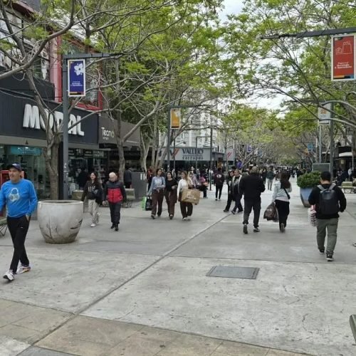 Peatones con bolsas de compras caminan por la peatonal arbolada del centro de San Juan
