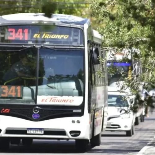 Colectivo de la empresa El Triunfo línea 341 circulando por una avenida de San Juan