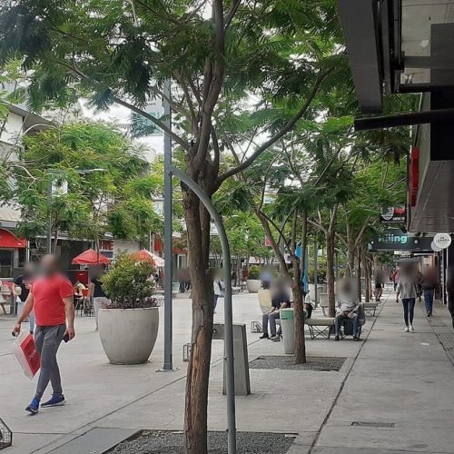 Peatonal Rivadavia de la ciudad de San Juan, con árboles, locales comerciales y peatones