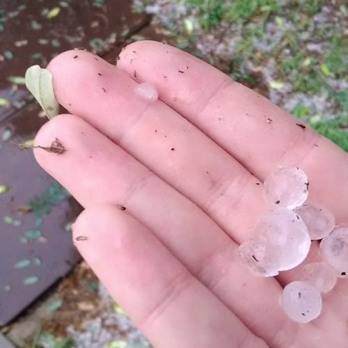 Mano sosteniendo piedras de granizo sobre el césped