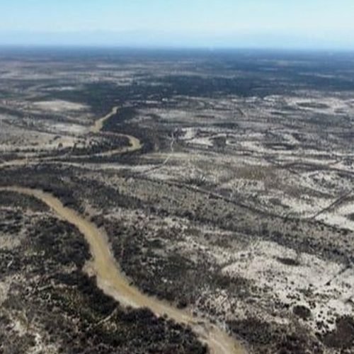 Vista aérea de la zona de las Lagunas de Guanacache, con un cauce seco que atraviesa el monte