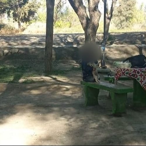 Mesa y bancos de un camping arbolado con pertenencias de una familia sobre la mesa