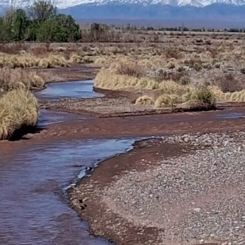 Río de poco caudal con aguas marrones entre piedras y pastizales, con la cordillera nevada al fondo
