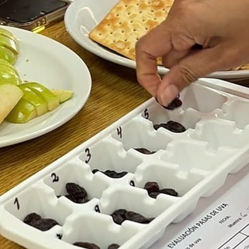 Una mano coloca pasas de uva en una cubetera numerada junto a una planilla de evaluación, durante una cata