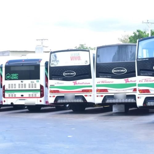 Colectivos blancos de la empresa El Triunfo estacionados en fila en una playa de San Juan