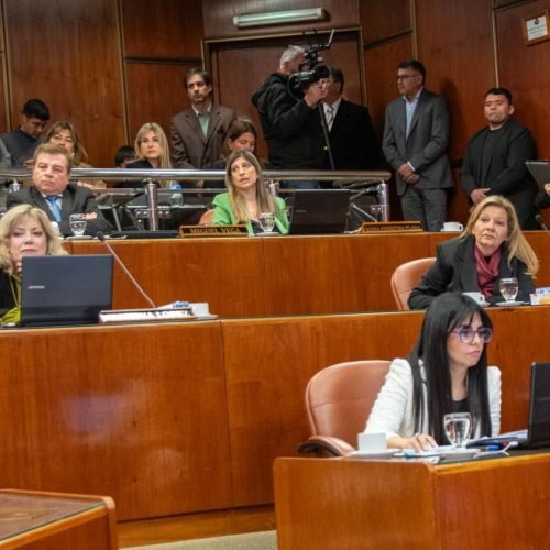 Cámara de Diputados de San Juan durante una sesión legislativa