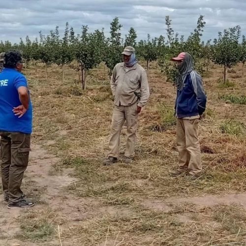 Un representante de Uatre conversa con trabajadores rurales en una finca con árboles jóvenes