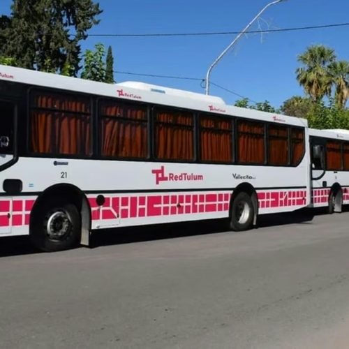 Dos colectivos blancos de la Red Tulum estacionados en una calle arbolada de San Juan