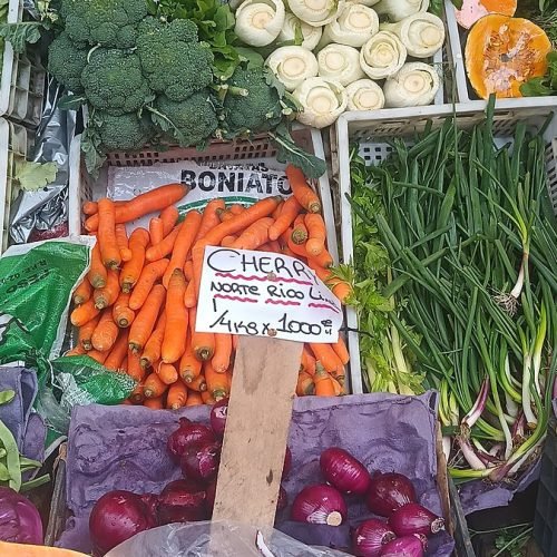 Puesto de verduras y hortalizas en cajones en una verdulería